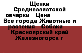 Щенки Среднеазиатской овчарки › Цена ­ 30 000 - Все города Животные и растения » Собаки   . Красноярский край,Железногорск г.